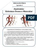 Apostila-5-Sistemas-Osseo-e-Muscular-Alongamento-e-Aquecimento-1
