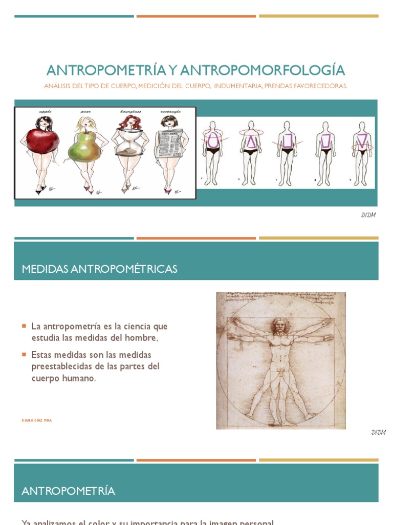 Proporciones y Tipos de Cuerpo en Moda | PDF | Camisa | Ropa