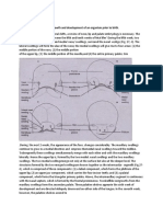 Embryology Embryology Is The Study of Growth and Development of An Organism Prior To Birth