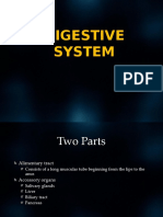 11.histo Digestive System