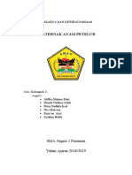 Berternak Ayam Petelur untuk Kewirausahaan