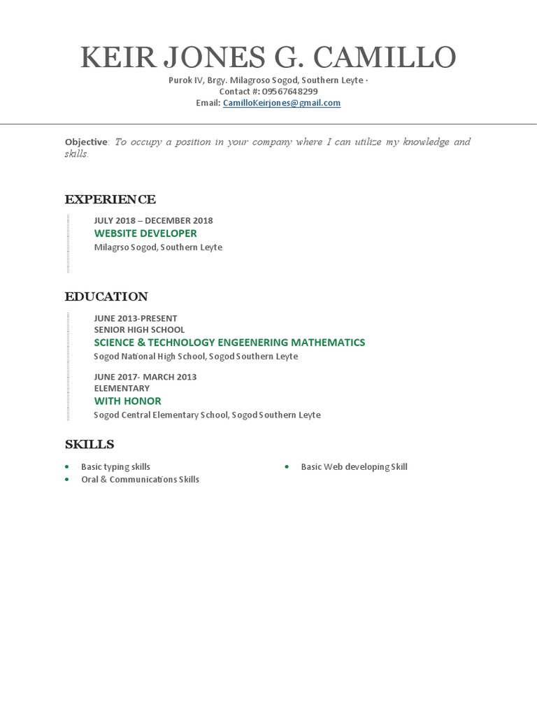 Aspiring Web Developer Profile | PDF