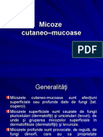 Micoze Ro-2
