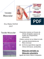 2017MuÌsculoContracao Muscular.pdf