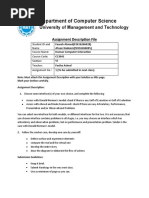 Department of Computer Science: University of Management and Technology