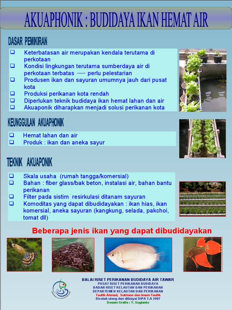 Akuaponik Budidaya Ikan Hemat Air