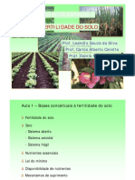 Aula 1_Bases conceituais.pdf