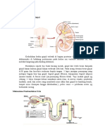 Fisiologi Ginjal