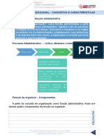 Administracao Geral e Publica Aula 51 Estrutura Organizacional Conceitos e Caracteristicas PDF
