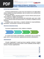 60672915-administracao-geral-e-publica-aula-60-administracao-geral-e-publica-estrutura-organizacional-conceitos-e-caracteristicas.pdf