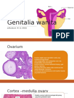 Ovarian Follicles
