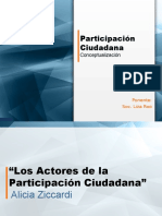 Concepciones de La Participacion Ciudadana