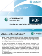 Cesim Project ESP DMG