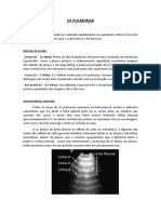 Resumo - Us Pulmonar