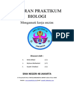 Mengamati Kerja Enzim