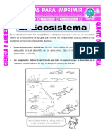 Ficha-El-Ecosistema-para-Quinto-de-Primaria.doc