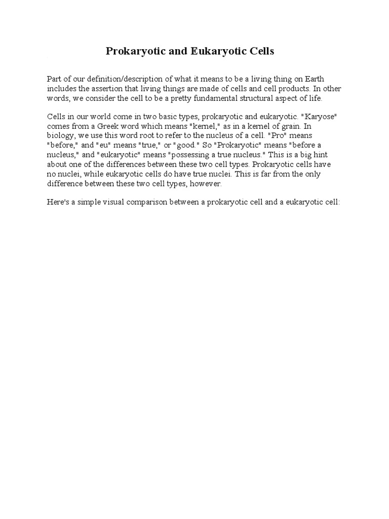 Prokaryotic and Eukaryotic Cells | PDF | Cell (Biology) | Prokaryote