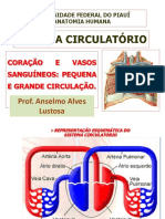 SISTEMA CIRCULATÓRIO Completo PDF