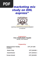 Download dhl by Nisha Natarajan SN45688165 doc pdf