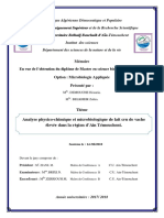 Memoire Finale PDF