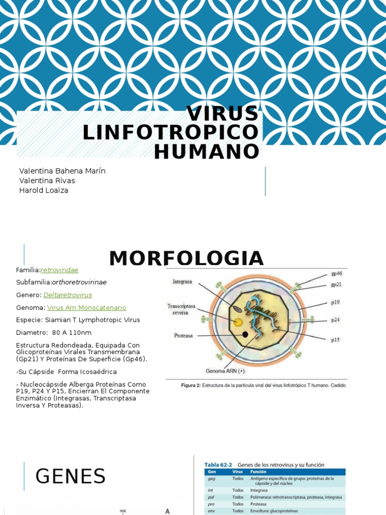 Virus Linfotrópico Humano: Guía Clínica | PDF | Virus | Especialidades ...