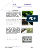 2014 - Salcedo - Ficha Tecnica 2 Crisopas PDF