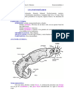 465-2013-08-22-C6 Gnatostomulidos PDF