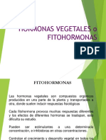 Fitohormonas