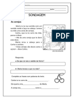 Sondagem de LP adaptada para português brasileiro.pdf