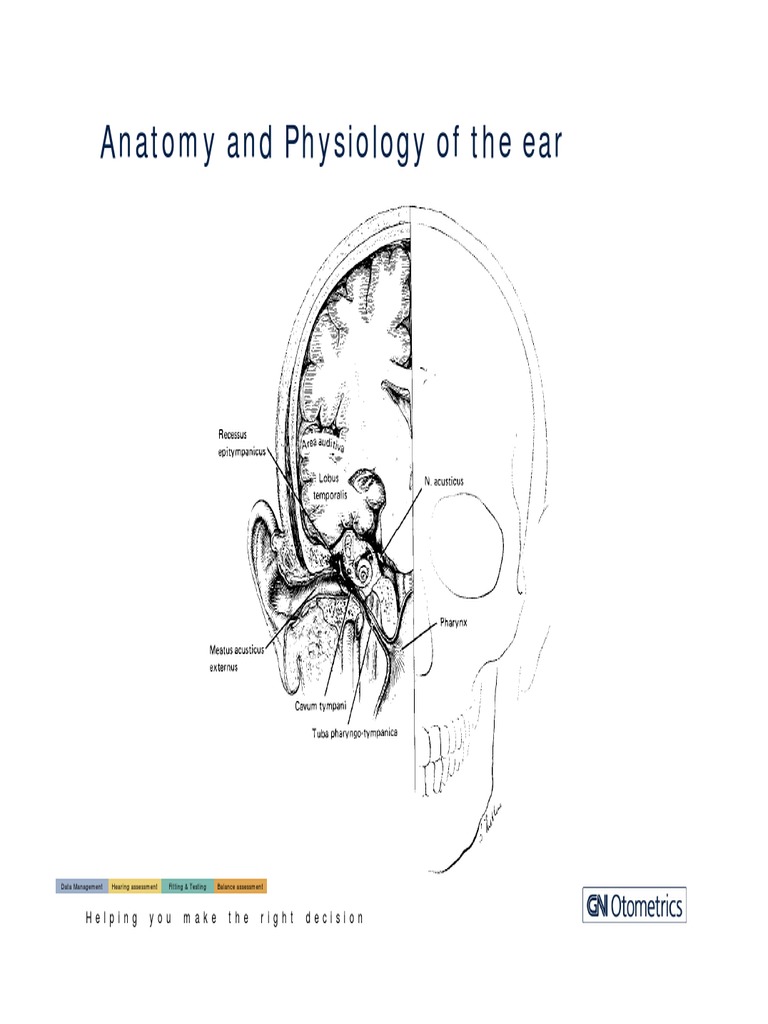 Hearing Assessment and Balance Evaluation | PDF | Hearing | Ear