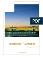 Mind Bridge Asia - Corporate Profile