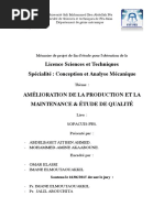 AMELIORATION DE LA PRODUCTION  - systeme pneumatique 