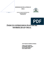 Libro Índices Epidemiológicos.pdf