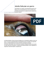 Conjuntivitis folicular en perro.docx