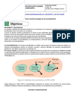 Taller Ecosistemas y Redes Tróficas - 10ºRECESO CONTIENGENCIA COVID-19 PDF