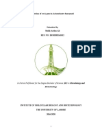 Detection of Reca Gene in Acinetobacter Baumannii