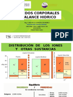 Balance Hidroelectrolitico