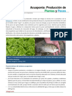 32. Acuaponia. Produccion de Plantas y Peces.pdf