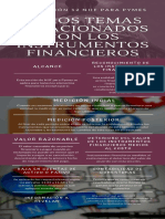 Sección 12 - Niif para Pymes