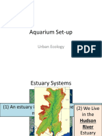 Aquarium Set-Up: Urban Ecology