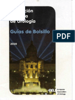 Guias Bolsillo AUE.pdf