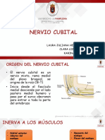 Nervio Cubital