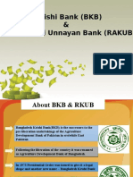 Bangladesh Krishi Bank (BKB) & Rajshahi Krishi Unnayan Bank (RAKUB)