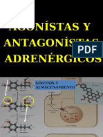 Aula Sna Adrenergicos Antiadrenergicos