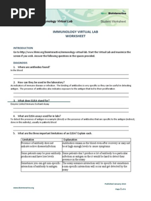 Immunology Lab Worksheet Student KEY | PDF | Elisa | Antibody