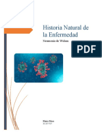 Historia Natural de La Enfermedad Coronavirus