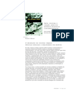 COLOSSO_A_producao_de_cultura_urbana.pdf