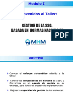 GSSO-Modulo-I.pdf