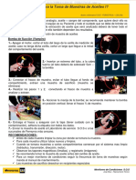 Manual Pasos Muestras Aceite Bomba Succion Recomendaciones Motor Bomba Sacrificio Monitoreo Frecuencia Cambio