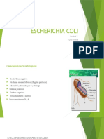 diapositiva e.coli.pptx